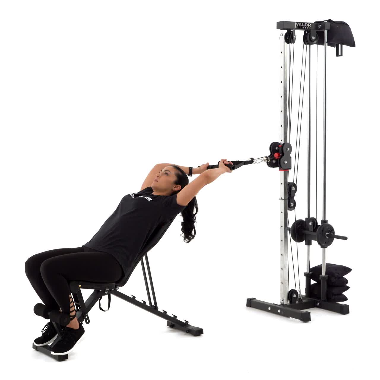 Plank Reach Trainwell